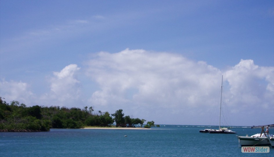 caribe_febrero2006_011