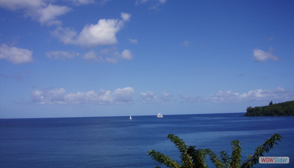 caribe_febrero2006_013
