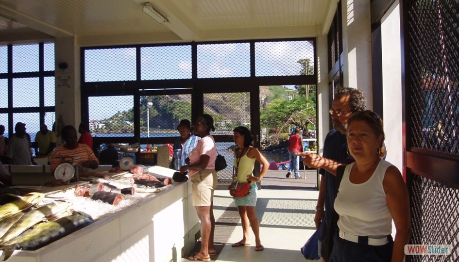 caribe_febrero2006_020