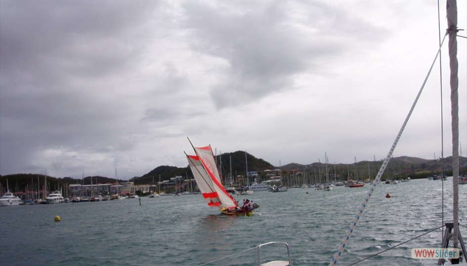 caribe_febrero2006_024