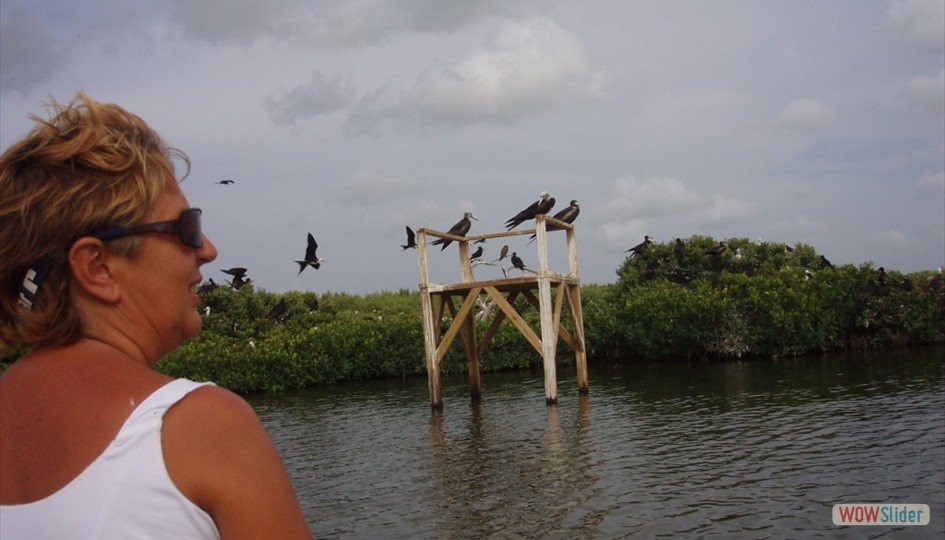 caribe_marzo2006_018