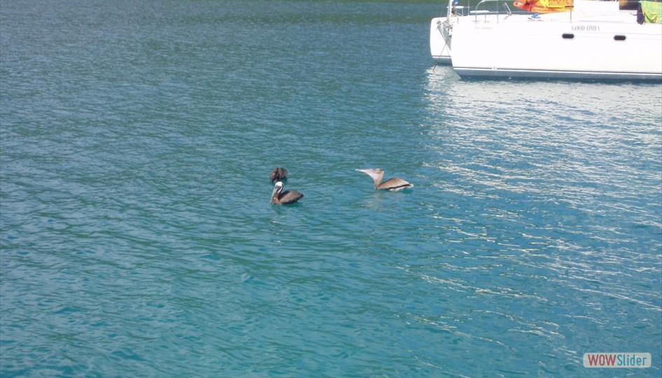 caribe_abril2006_010