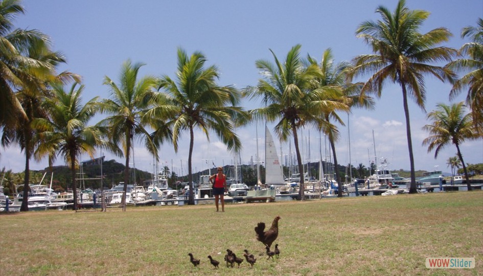 caribe_abril2006_051