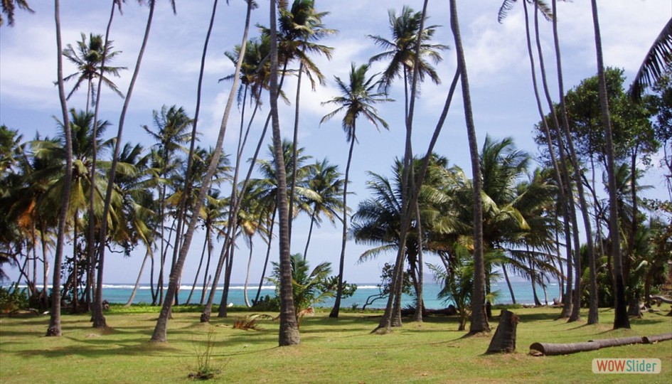caribe_enero2006_014