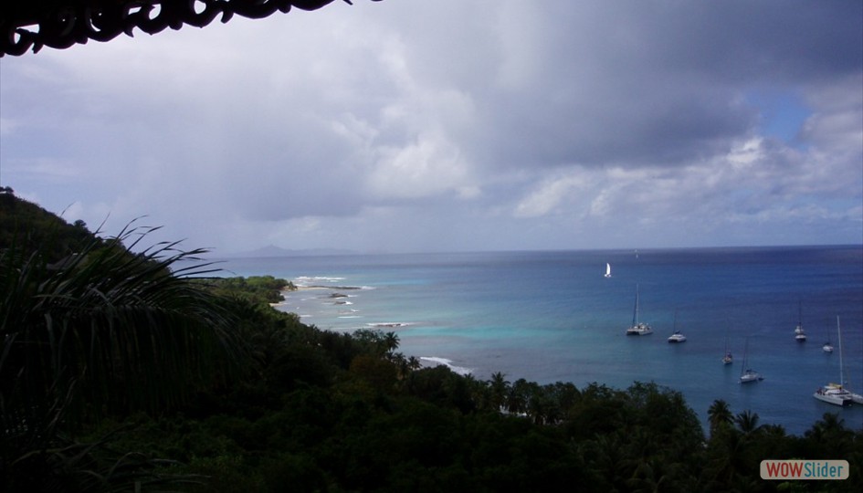 caribe_enero2006_025
