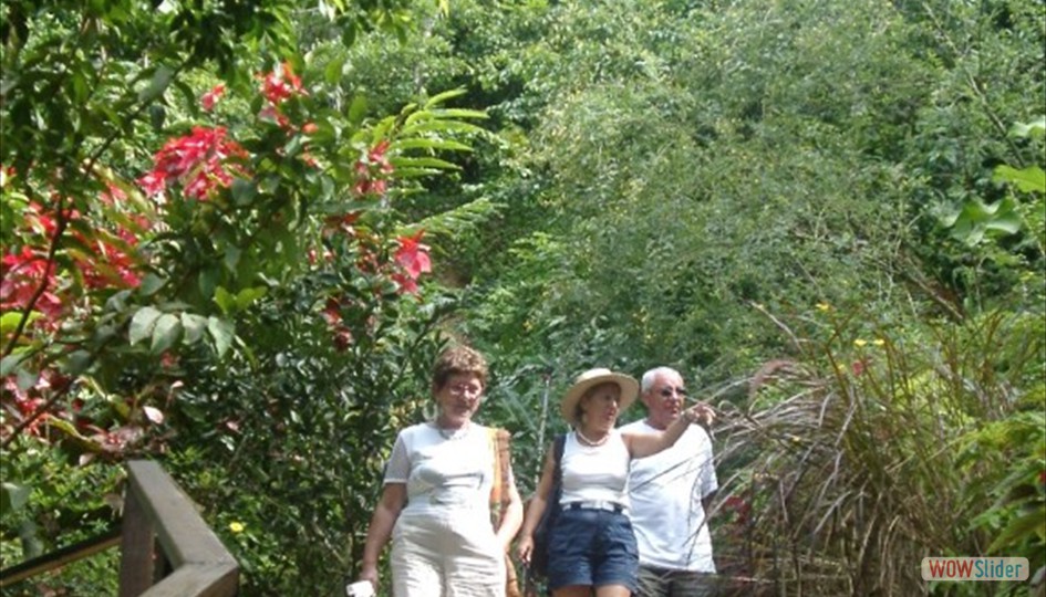 caribe_enero2006_046